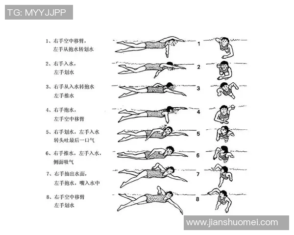 游水技巧 - 自由泳的四个技能关键,少一个都不可 游水技巧 - 自由泳的四个技能关键,少一个都不可